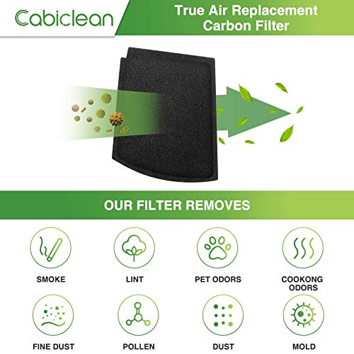 Cabiclean Pack of 10 04234G Filter Replacement Compatible with Ham...