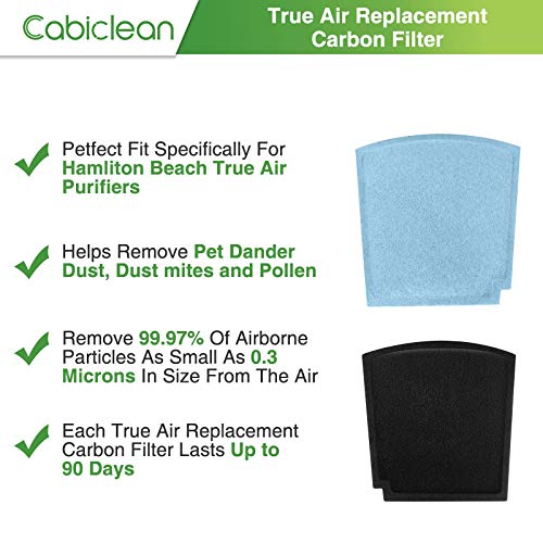 Cabiclean Pack of 10 04234G Filter Replacement Compatible with Ham...