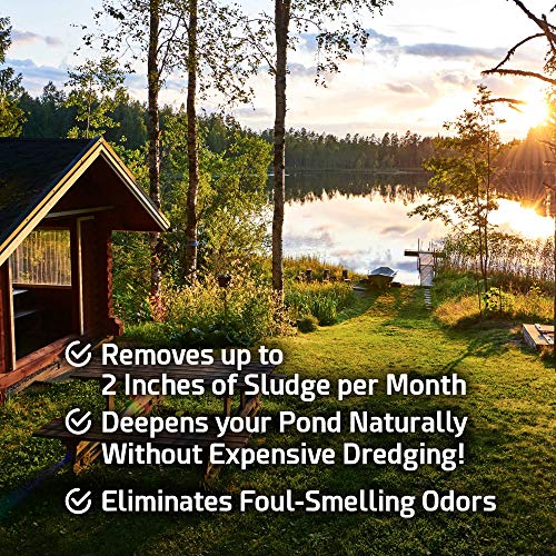 Cabin Obsession Pond Sludge Remover – Beneficial Pond Bacteria & E...