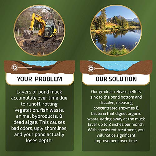 Cabin Obsession Pond Sludge Remover – Beneficial Pond Bacteria & E...