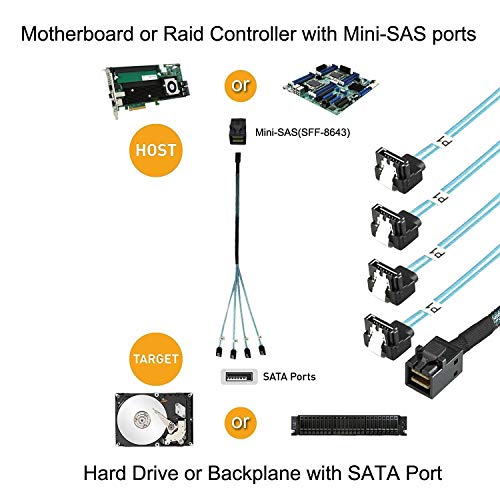 Cablecc Internal Mini SAS SFF-8643 Host to Angled 4 SATA Target Ha...