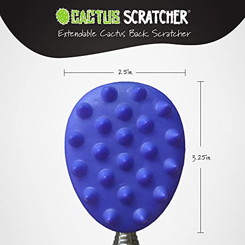 XL Big Stick Extendable Cactus Back Scratcher, Sturdy, Sharp, Sati...
