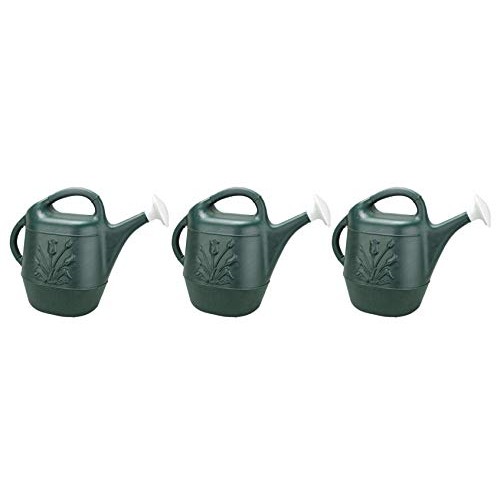 cado 2 Gallon Watering Can - Hunter Green Pkg/3, Hunter Green