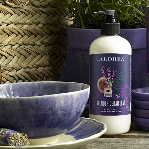 Caldrea Hand Lotion, For Dry Hands, Made with Shea Butter, Aloe Ve...