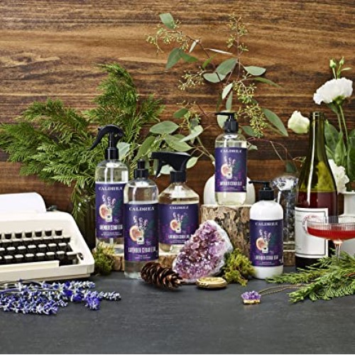 Caldrea Hand Lotion, For Dry Hands, Made with Shea Butter, Aloe Ve...