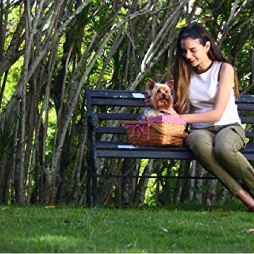 Picnic Basket Natural Woven Woodchip with Double Folding Handles |...