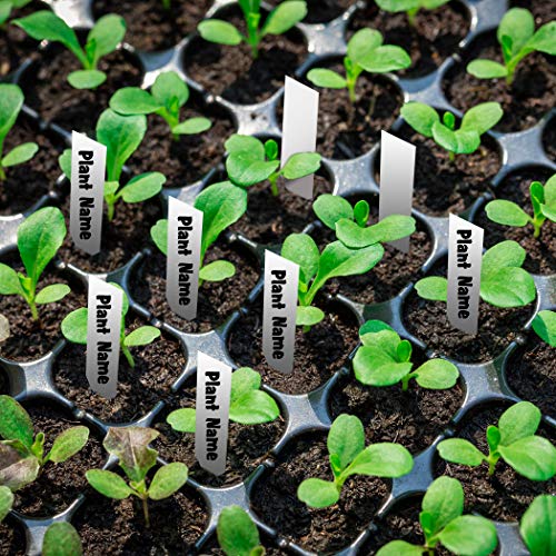 Combo Pack 15-Pack Seed Starter Trays and 100-Pack Plastic Plant...