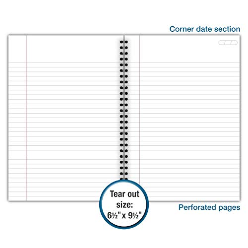 Cambridge Limited Business Notebook, Legal Ruled,6-5/8 x 9-1/2 P...