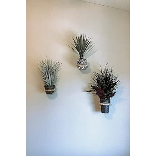 Camden Gardens - 3 Pack | Wooden Hanging Planter | Wall Mounted Pl...