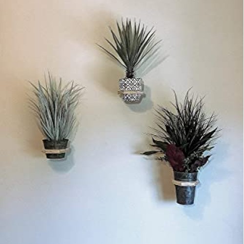 Camden Gardens - 3 Pack | Wooden Hanging Planter | Wall Mounted Pl...