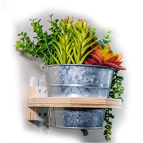 Camden Gardens - 3 Pack | Wooden Hanging Planter | Wall Mounted Pl...