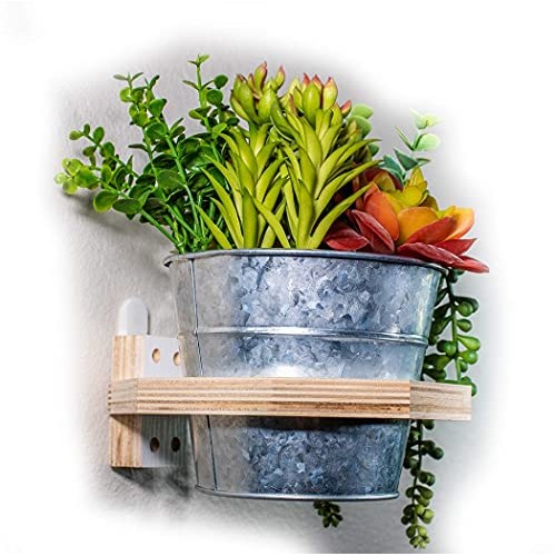 Camden Gardens - 3 Pack | Wooden Hanging Planter | Wall Mounted Pl...