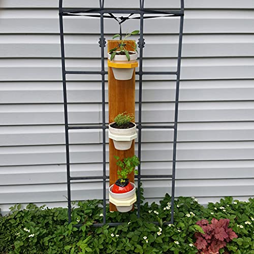 Camden Gardens - 3 Pack | Wooden Hanging Planter | Wall Mounted Pl...