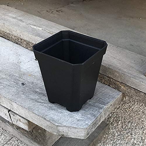 Camisin 100PCS Plant Disposable Flower Pot Small Black Square Cutt...