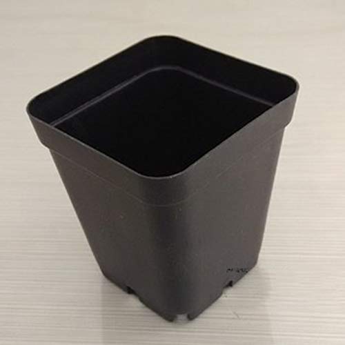 Camisin 100PCS Plant Disposable Flower Pot Small Black Square Cutt...