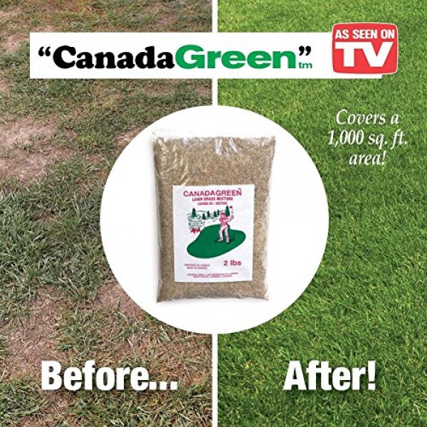 Canada Green Grass Seed - 6 Pound Bag