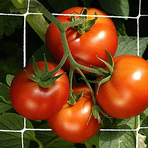Trellis Netting, CANAGROW Heavy-Duty Garden Plant Trellis Netting ...