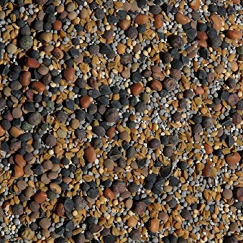 No-Till Cover Crop 13-Seed Mix ½-lb: 50% Clovers Plus Fenugreek...