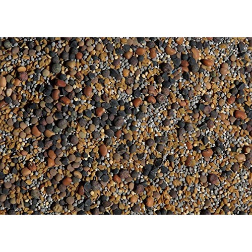 No-Till Cover Crop 13-Seed Mix ½-lb: 50% Clovers Plus Fenugreek...