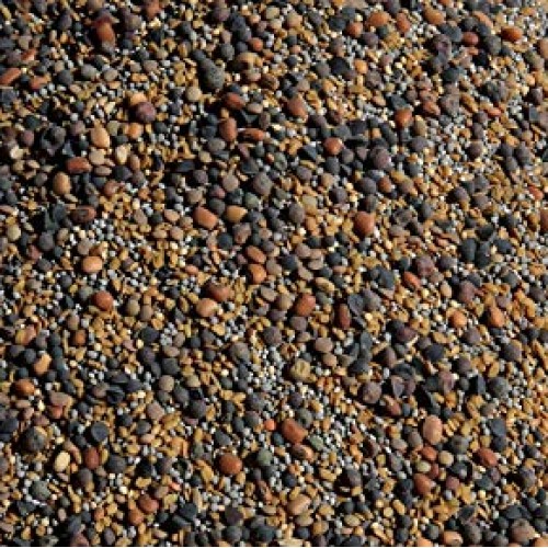 No-Till Cover Crop 13-Seed Mix ½-lb: 50% Clovers Plus Fenugreek...