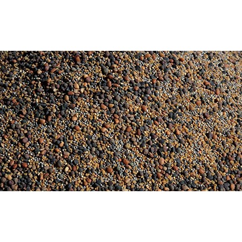 No-Till Cover Crop 13-Seed Mix ½-lb: 50% Clovers Plus Fenugreek...