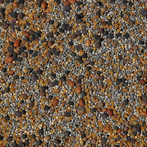 No-Till Cover Crop 13-Seed Mix ½-lb: 50% Clovers Plus Fenugreek...