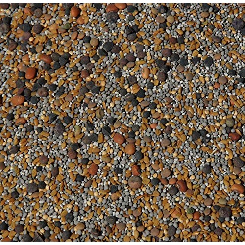 No-Till Cover Crop 13-Seed Mix ½-lb: 50% Clovers Plus Fenugreek...