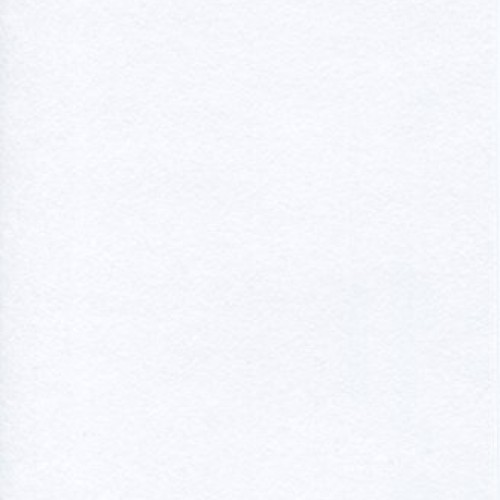 Canson Artist Series 1557 Pure White Drawing Paper Pad, Fine Textu...