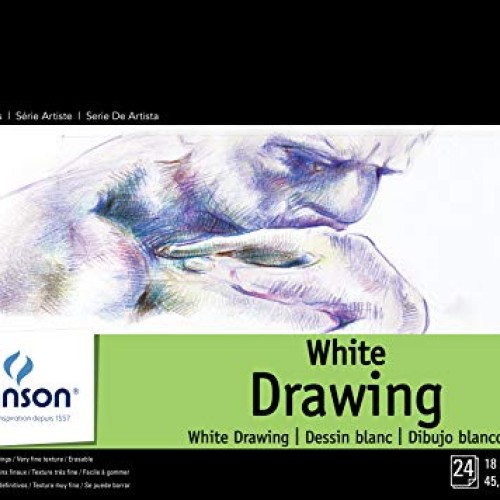Canson Artist Series 1557 Pure White Drawing Paper Pad, Fine Textu...