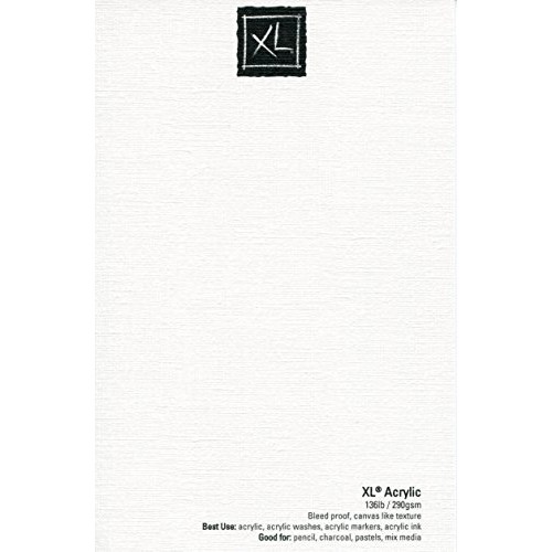 Canson XL Series Oil and Acrylic Paper Pad, Bleed Proof Canvas Lik...