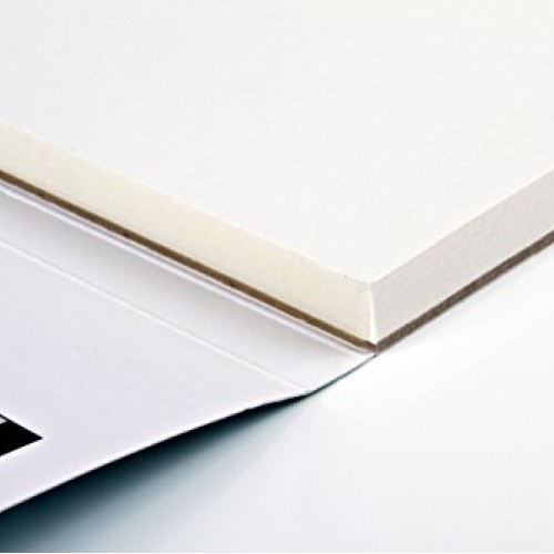 Canson XL Series Oil and Acrylic Paper Pad, Bleed Proof Canvas Lik...