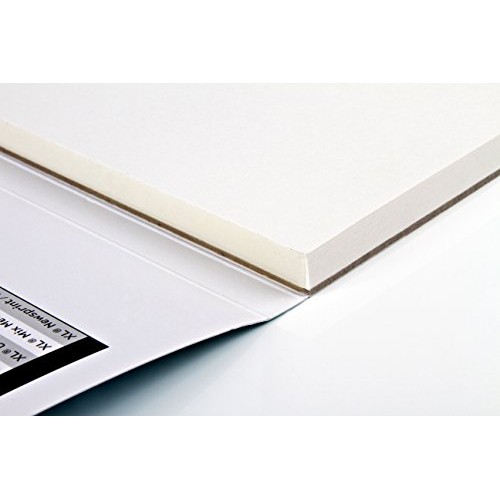 Canson XL Series Oil and Acrylic Paper Pad, Bleed Proof Canvas Lik...