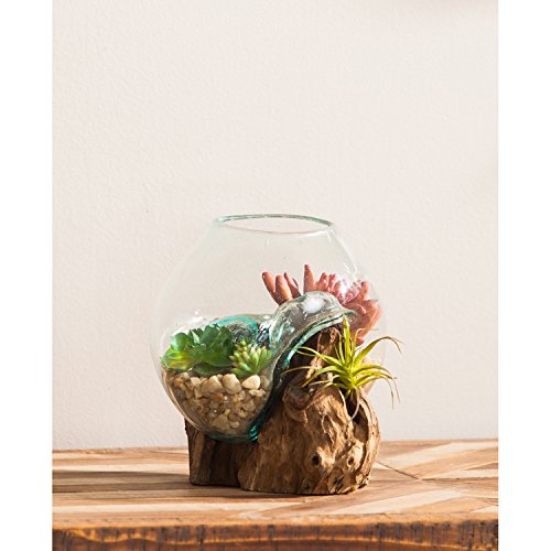 Cape Craftsmen Hand-Blown Blue Tinted Bubble Glass On Driftwood Te...