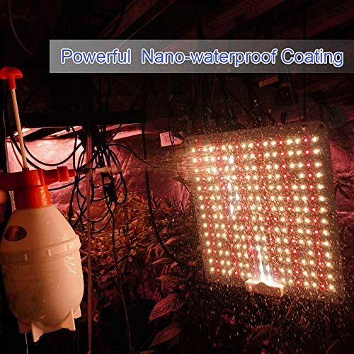 Carambola 1000W LED Grow Light 2x2 ft Sunlike Full Spectrum Led Gr...