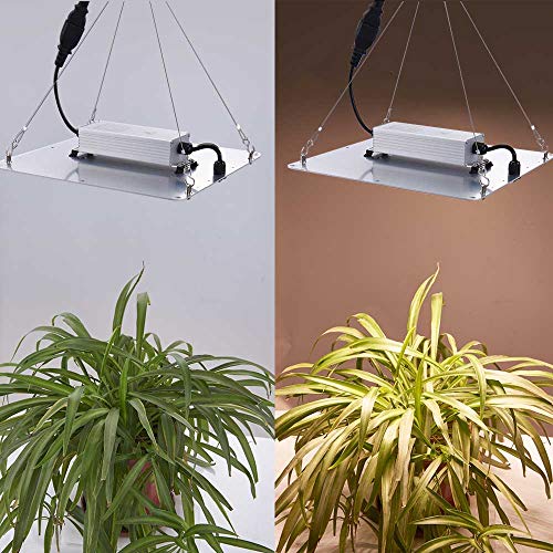 Carambola 1000W LED Grow Light 2x2 ft Sunlike Full Spectrum Led Gr...