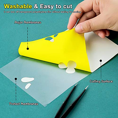 CAREGY Heat Transfer Vinyl HTV Bundle 12x10 - 43 Pack Includes 3...