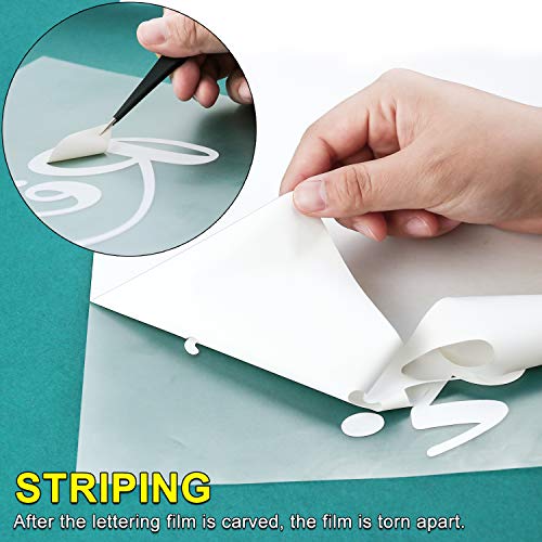 CAREGY Heat Transfer Vinyl HTV Bundle 12x10 - 43 Pack Includes 3...
