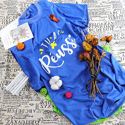 CAREGY Heat Transfer Vinyl HTV Bundle 12x10 - 43 Pack Includes 3...