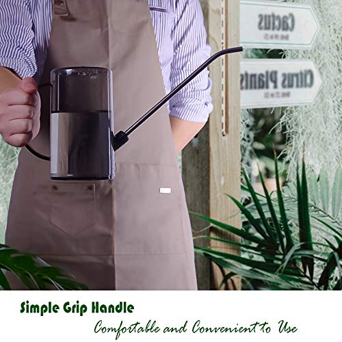 Watering Can Indoor, Small Watering Cans for House Plants, Succule...