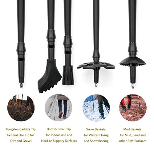 Cascade Mountain Tech Trekking Poles - Carbon Fiber Walking or Hik...