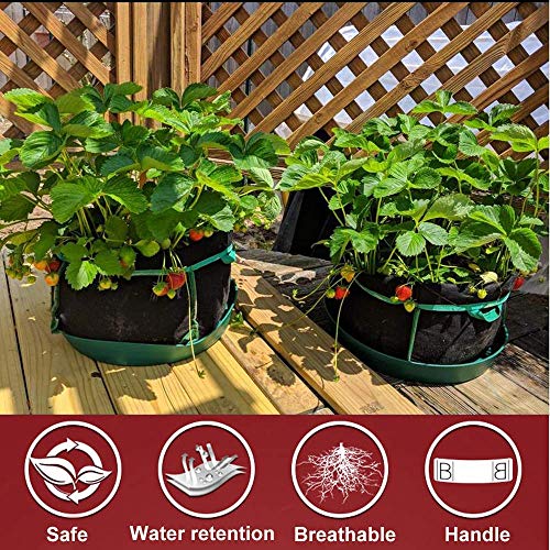 CASOLLY 7 Gallon 5 Pack Square Grow Bags with Heavy Duty Handle Pl...