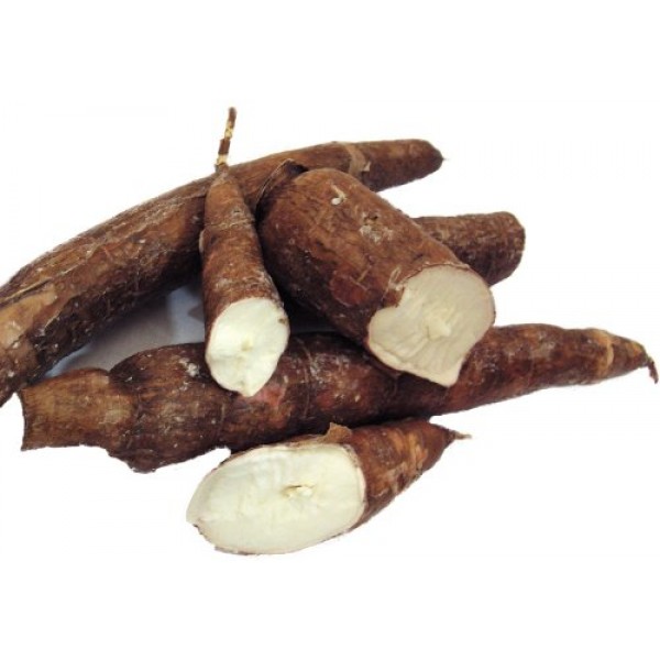 1 Month Supply Organic Cassava Root - Fertility Supplement for Twi...