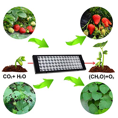 LED Grow Lights for Indoor Plants Full Spectrum Panel Plant Light ...