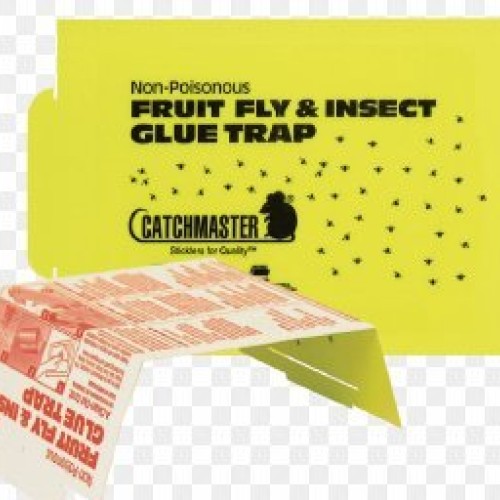 Catchmaster Fruit Fly Trap and Monitor-36 Pack 66765636