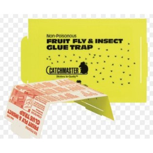 Catchmaster Fruit Fly Trap and Monitor-36 Pack 66765636