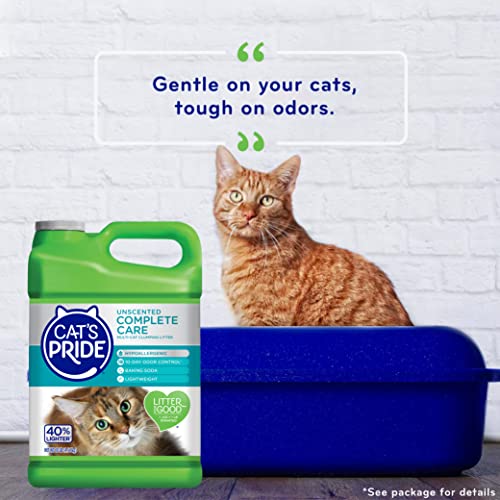 Cats Pride Premium Lightweight Multi-Cat Hypoallergenic Clumping ...