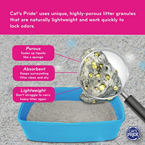 Cats Pride Premium Lightweight Multi-Cat Hypoallergenic Clumping ...