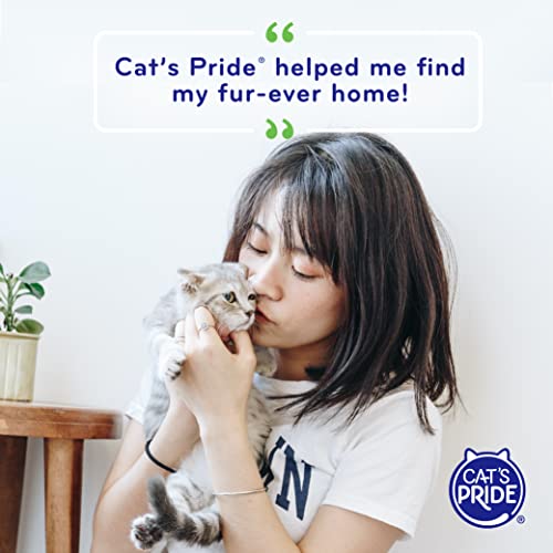 Cats Pride Premium Lightweight Multi-Cat Hypoallergenic Clumping ...