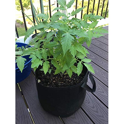 Cavisoo 10-Pack 3 Gallon Plant Grow Bags, Heavy Duty 300G Thickene...