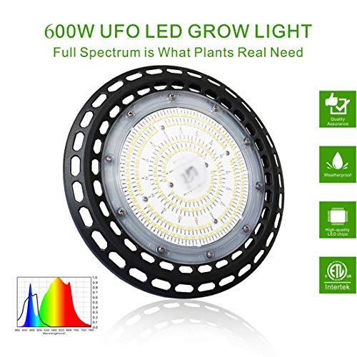 CDMALL 32x32x63 Grow Tent Room Complete Kit + LED 600W Grow ...